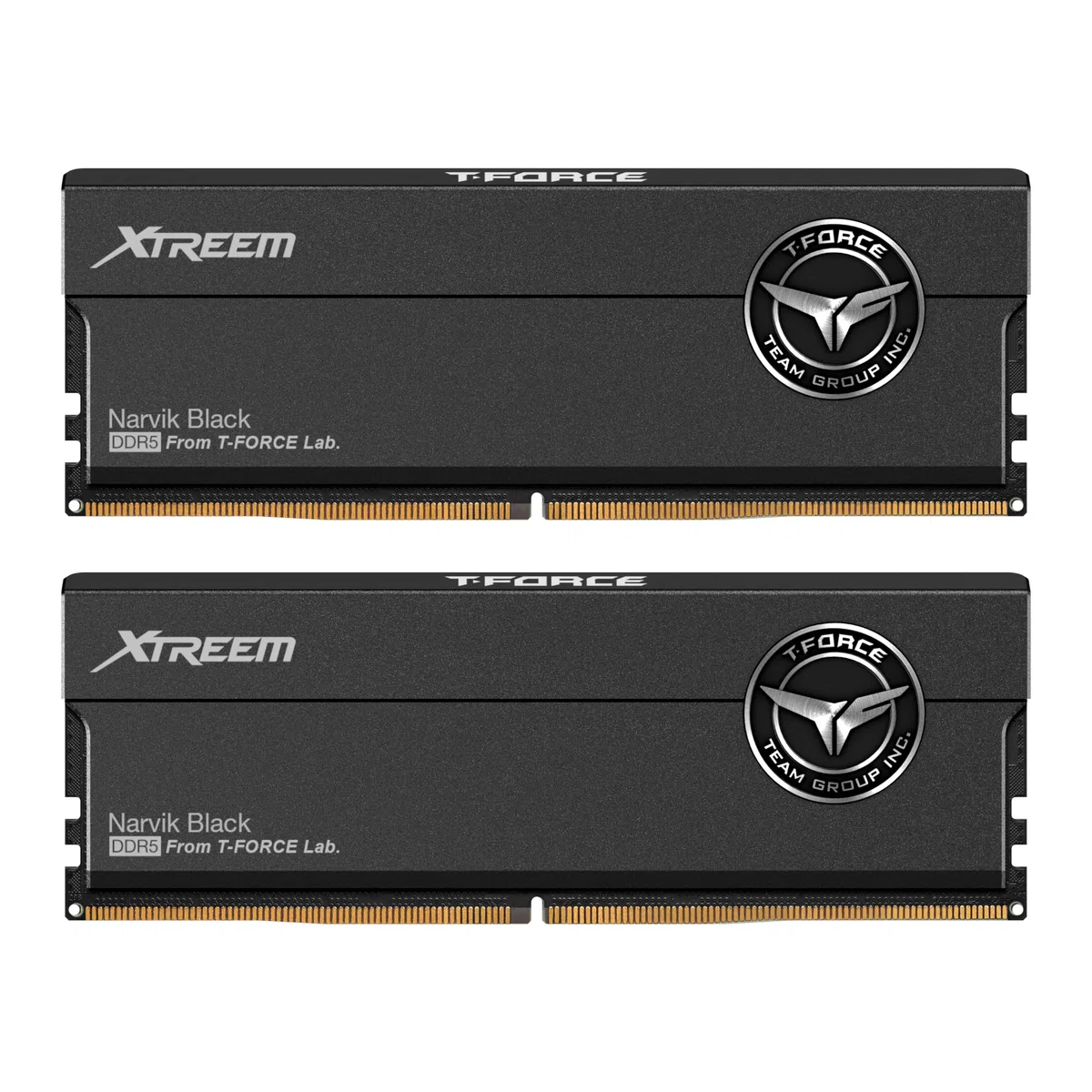 T-FORCE XTREEM - DDR5 - Kit - 48 GB: 2 x 24 GB - DIMM 288-PIN - 7600 MHz / PC5-60800 - registriert