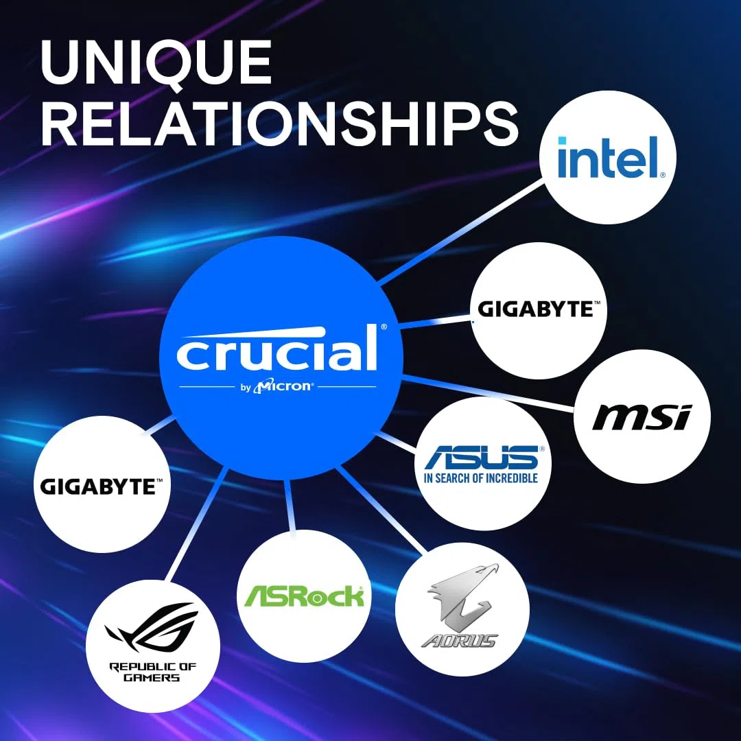 CRUCIAL PRO 32G (1x32G) DDR5-5600 *CP32G56C46U5