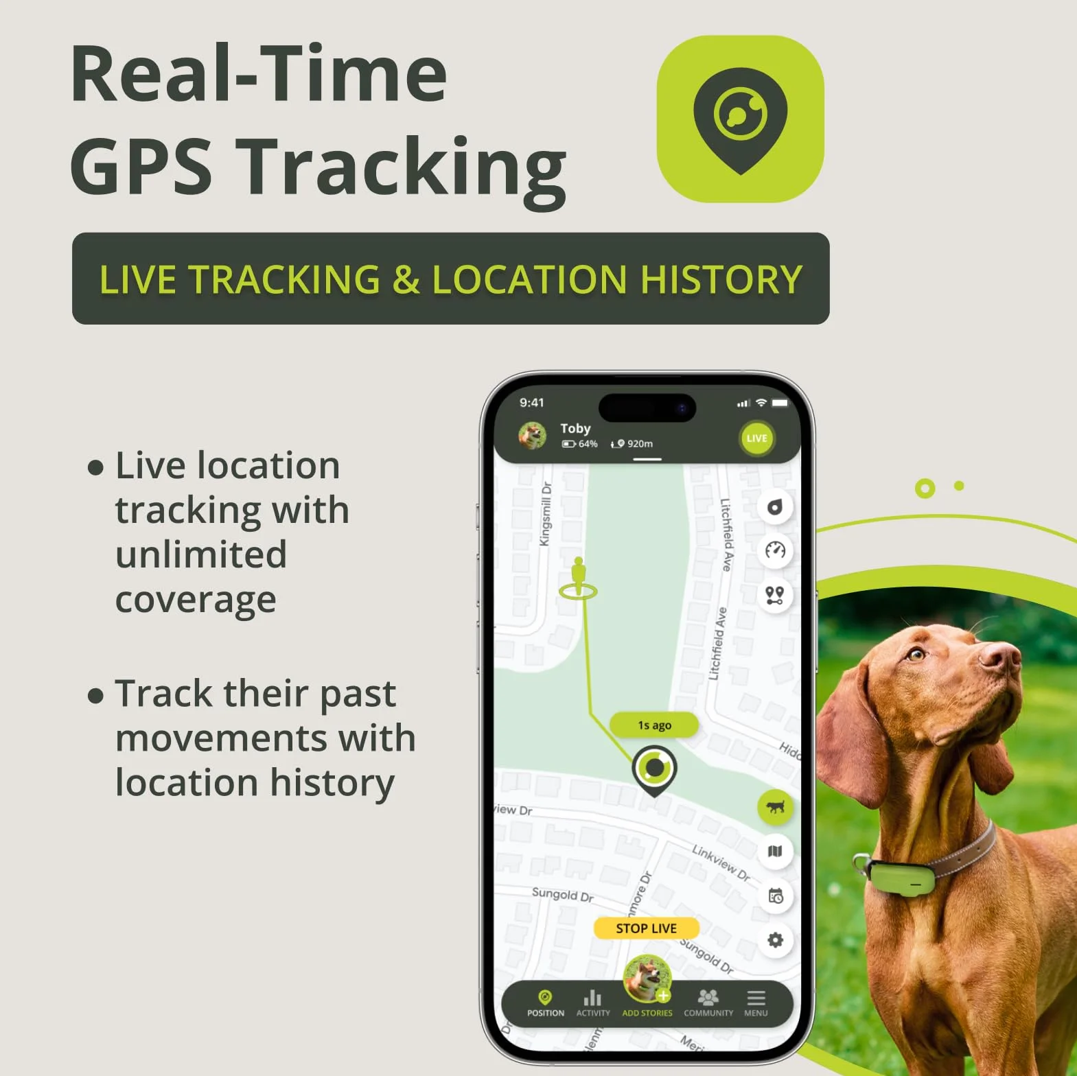 Kippy GPS per Cani Localizzatore Impermeabile con Recinto Virtuale e Notifiche Verde