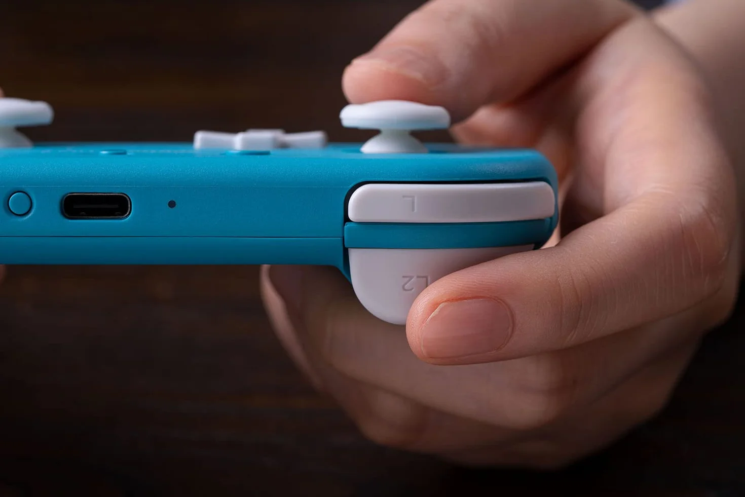8Bitdo GAMEPAD LITE 2, RET00298 Przełącznik PC ANDROID, wielobarwny