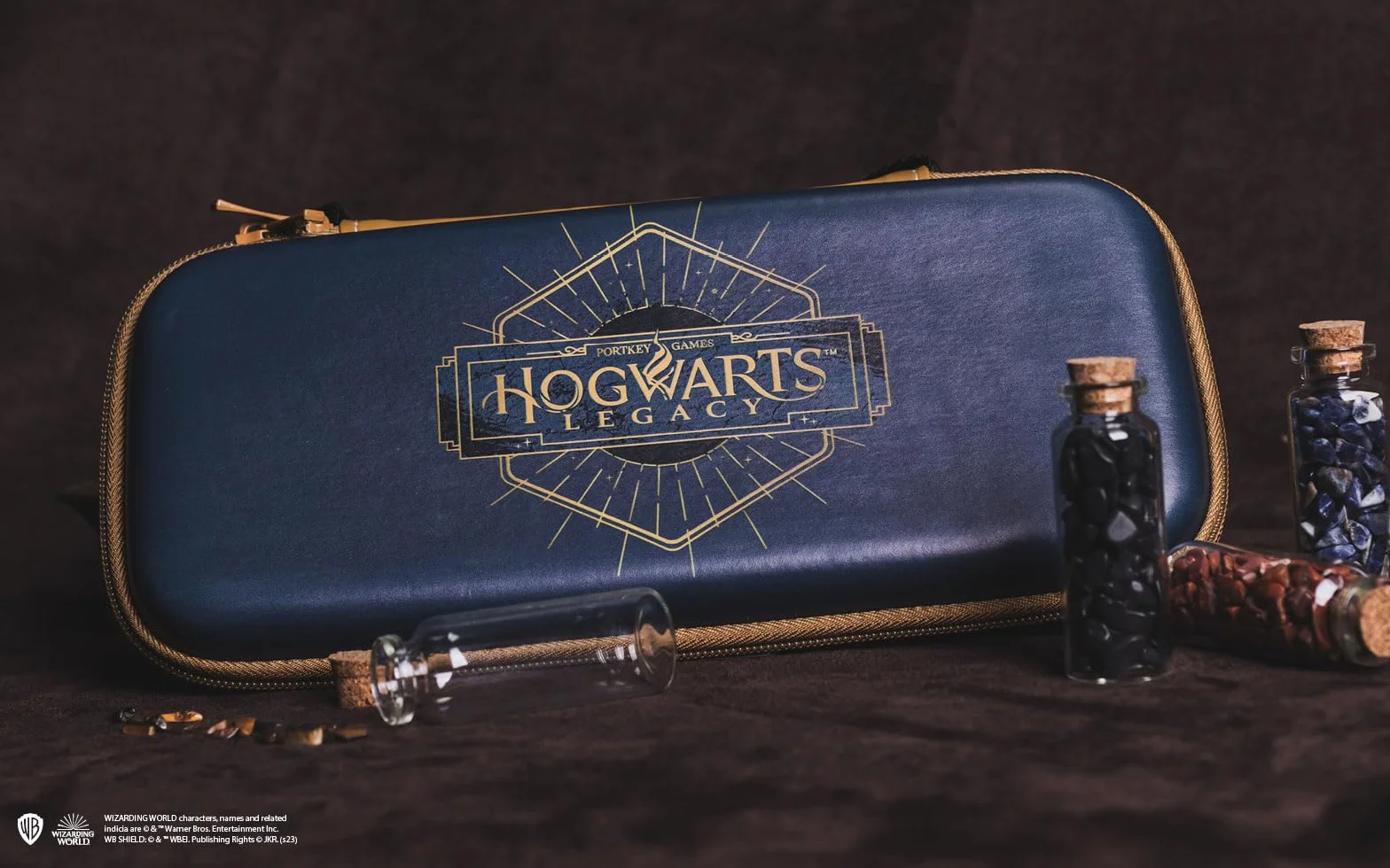 Bezprzewodowy kontroler Freaks and Geeks Hogwarts Legacy Krajobraz