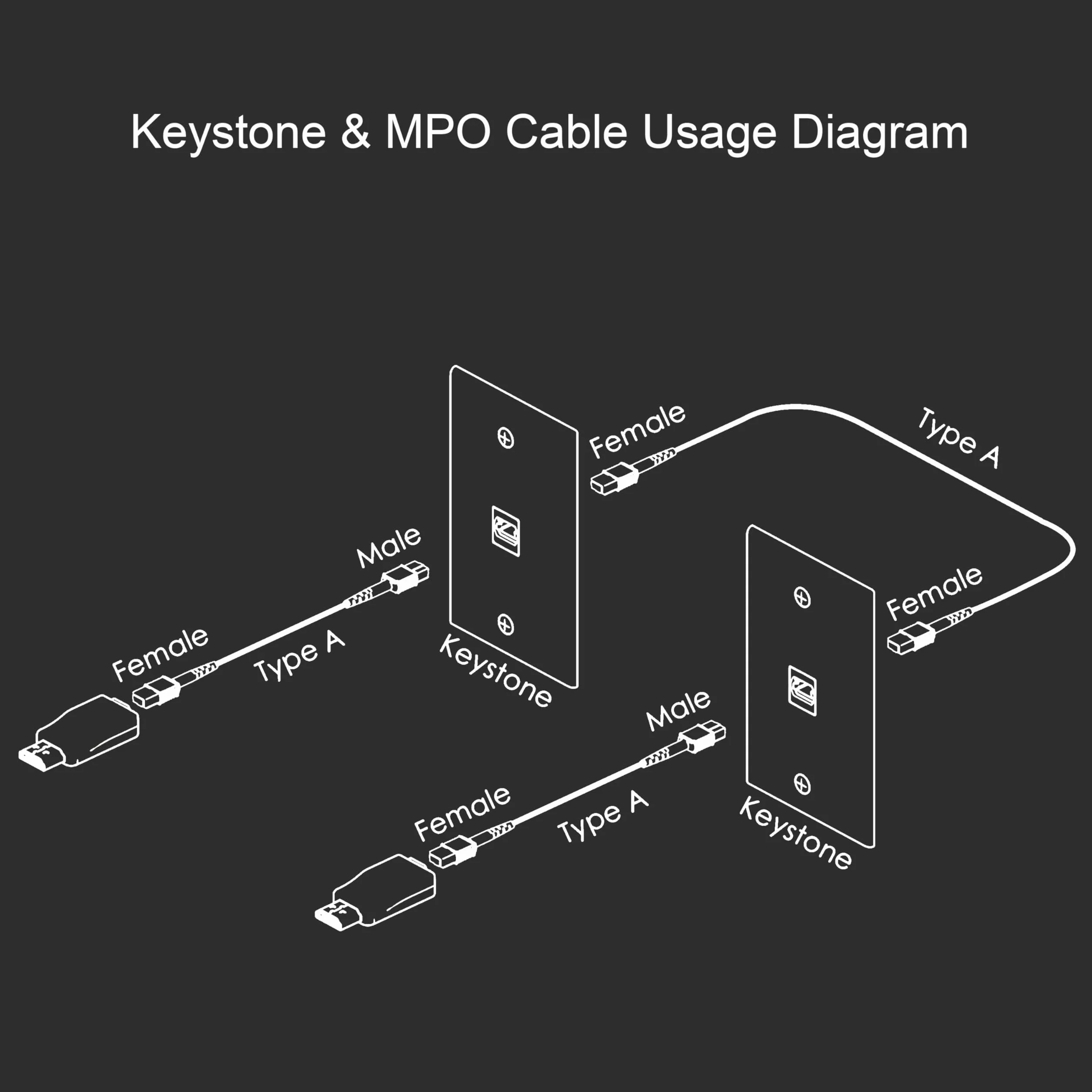 RUIPRO Kabel MPO M-F, pełny światłowód, opancerzony, 7 włókien, 3 m | Pasuje do płytek Keystone MPO, ułatwiając prowadzenie i przedłużanie światłowodu w instalacjach naściennych i podtynkowych