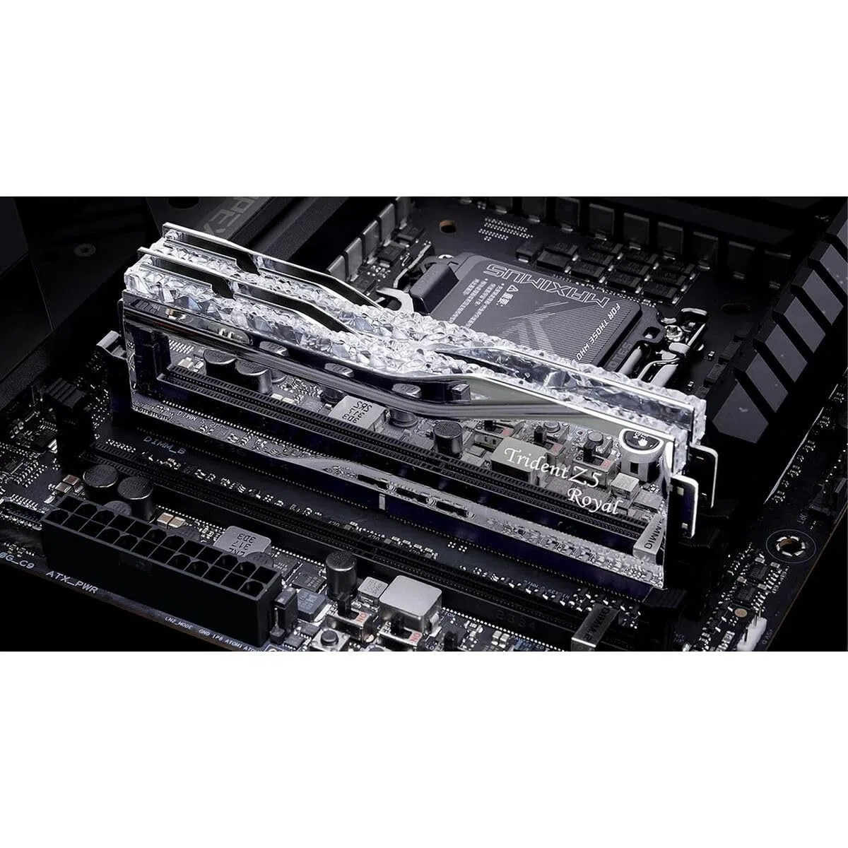 GSKILL F5-6000J2836G16GX2-TR5NS pamięć RAM 32 GB DDR5 6000 MHz CL36 - Marka EAN: 4713294236753