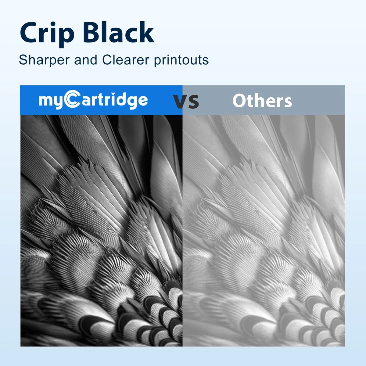 MyCartridge 2 tonery kompatybilne z Brother TN-2420 TN2420, do Brother HL-L2370DN, MFC-L2710DW, MFC-L2710DN, HL-L2310D, HL-L2350DW, DCP-L2530DW, DCP-L2550DN, HL-L2357DW, MFC-L2730DW, MFC-L2750DW, DCP-L2510D