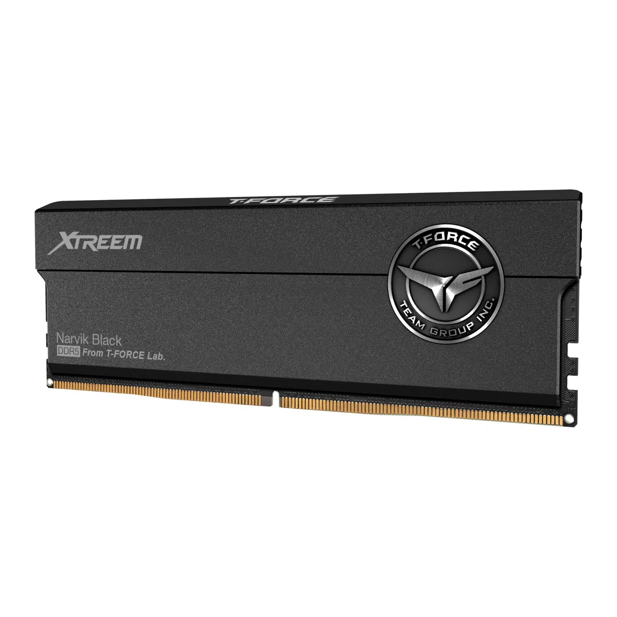 T-FORCE XTREEM - DDR5 - Kit - 48 GB: 2 x 24 GB - DIMM 288-PIN - 7600 MHz / PC5-60800 - registriert