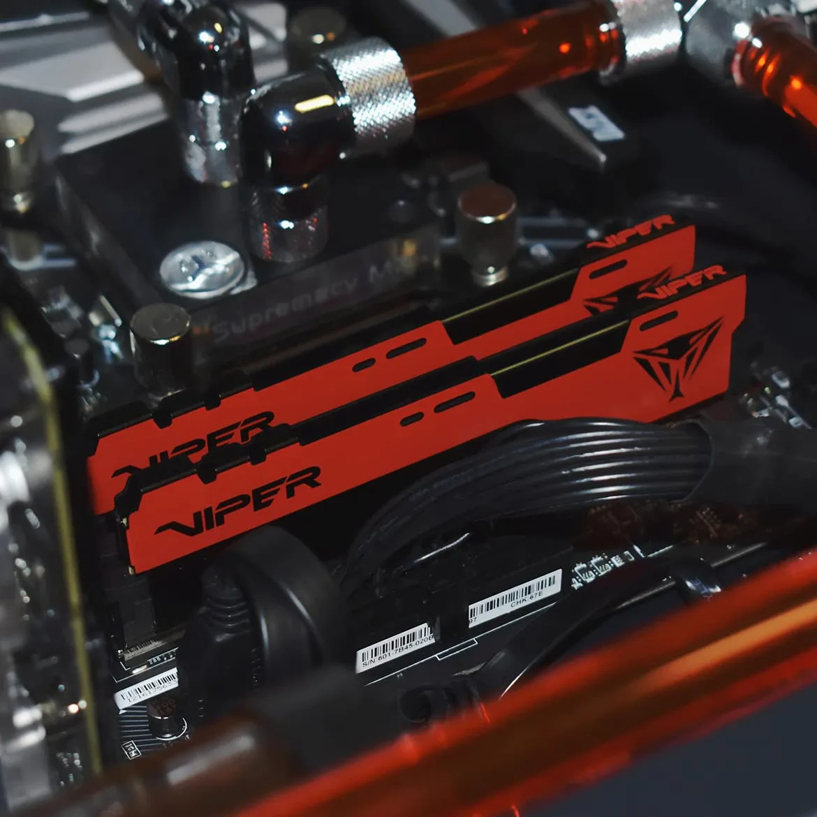 Patriot Viper Elite II DDR4 16 GB (2 x 8 GB) zestaw 3600 MHz