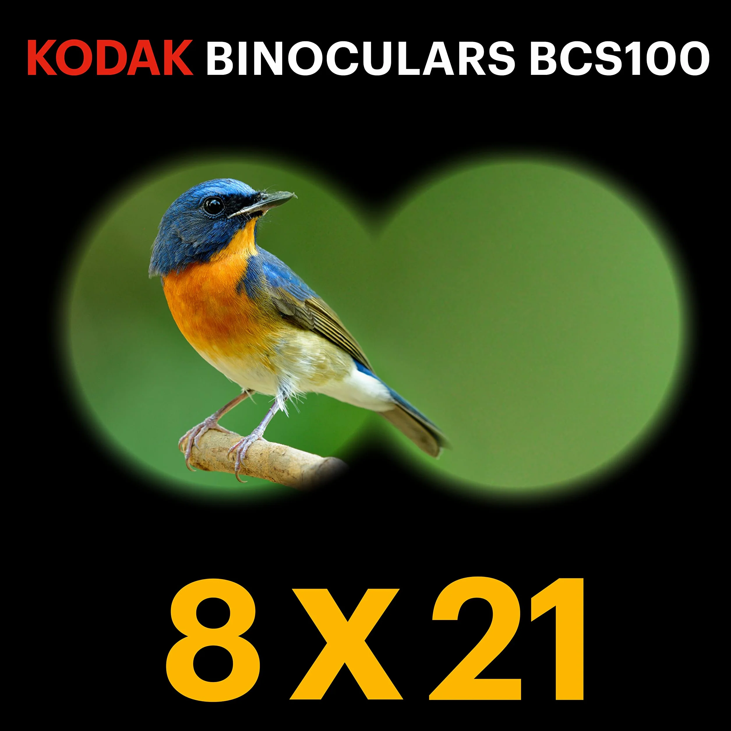 KODAK BCS100 Lornetka dziecięca - Kompaktowa lornetka Lornetka dla dzieci, Miękka gumka, ergonomiczna, 8-krotna powiększenie, pasek i pokrowiec do przenoszenia - Niebieski