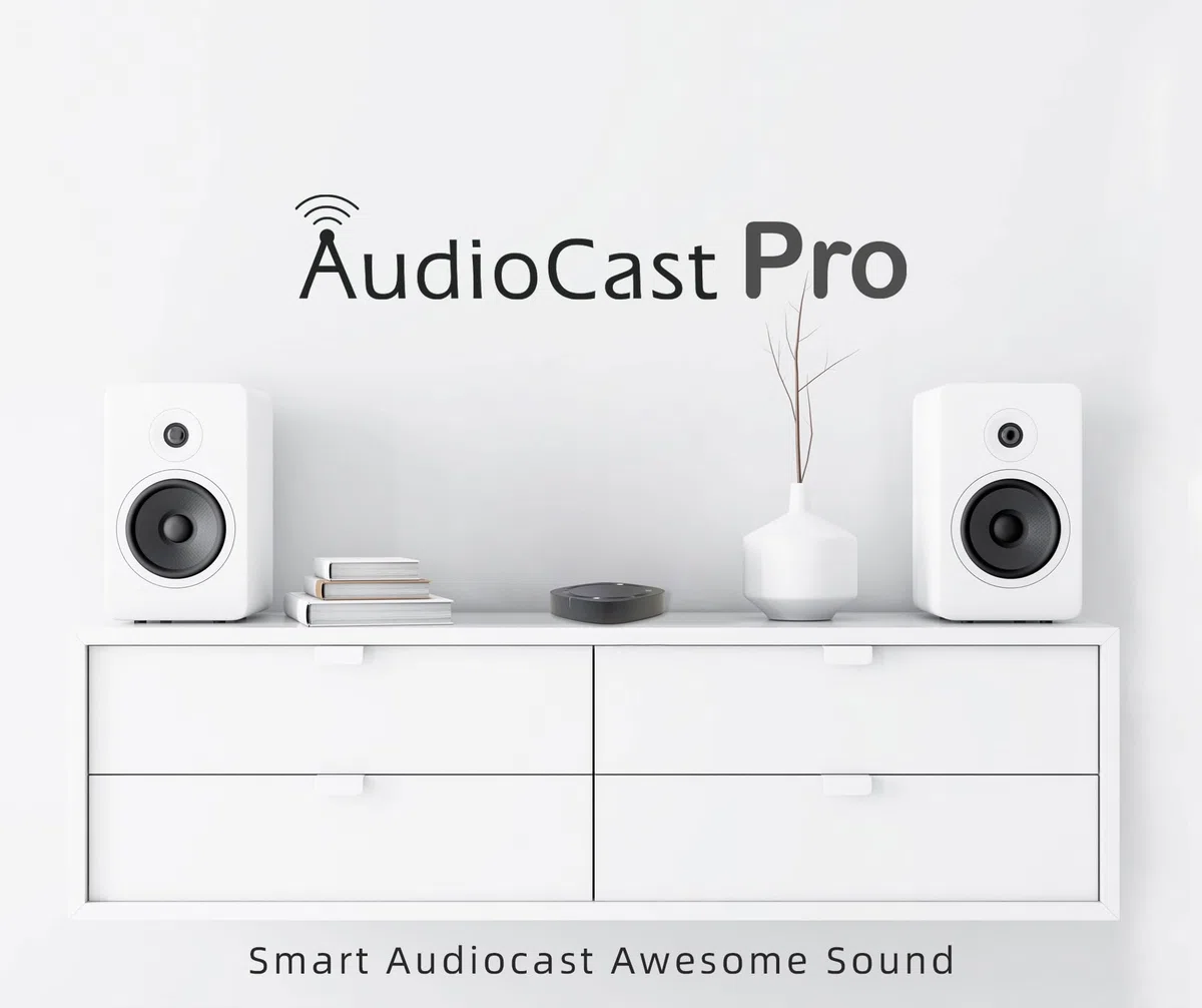 Audiocast Wielopokojowy bezprzewodowy odbiornik audio WiFi konwertuje głośniki przewodowe na AirPlay kompatybilny z Bluetooth i Ethernet