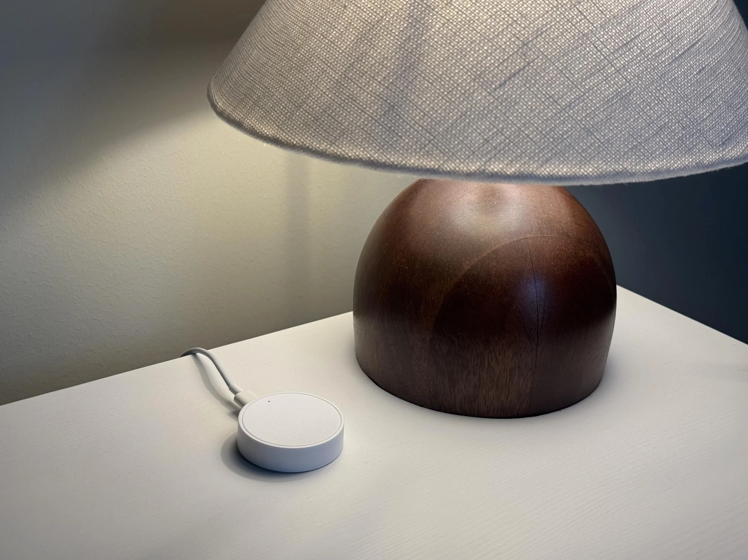 Hub Mini Smart Home Hub kompatybilny z Matter Alexa SmartThings Philips Hue Nanoleaf Flic Flic Twist