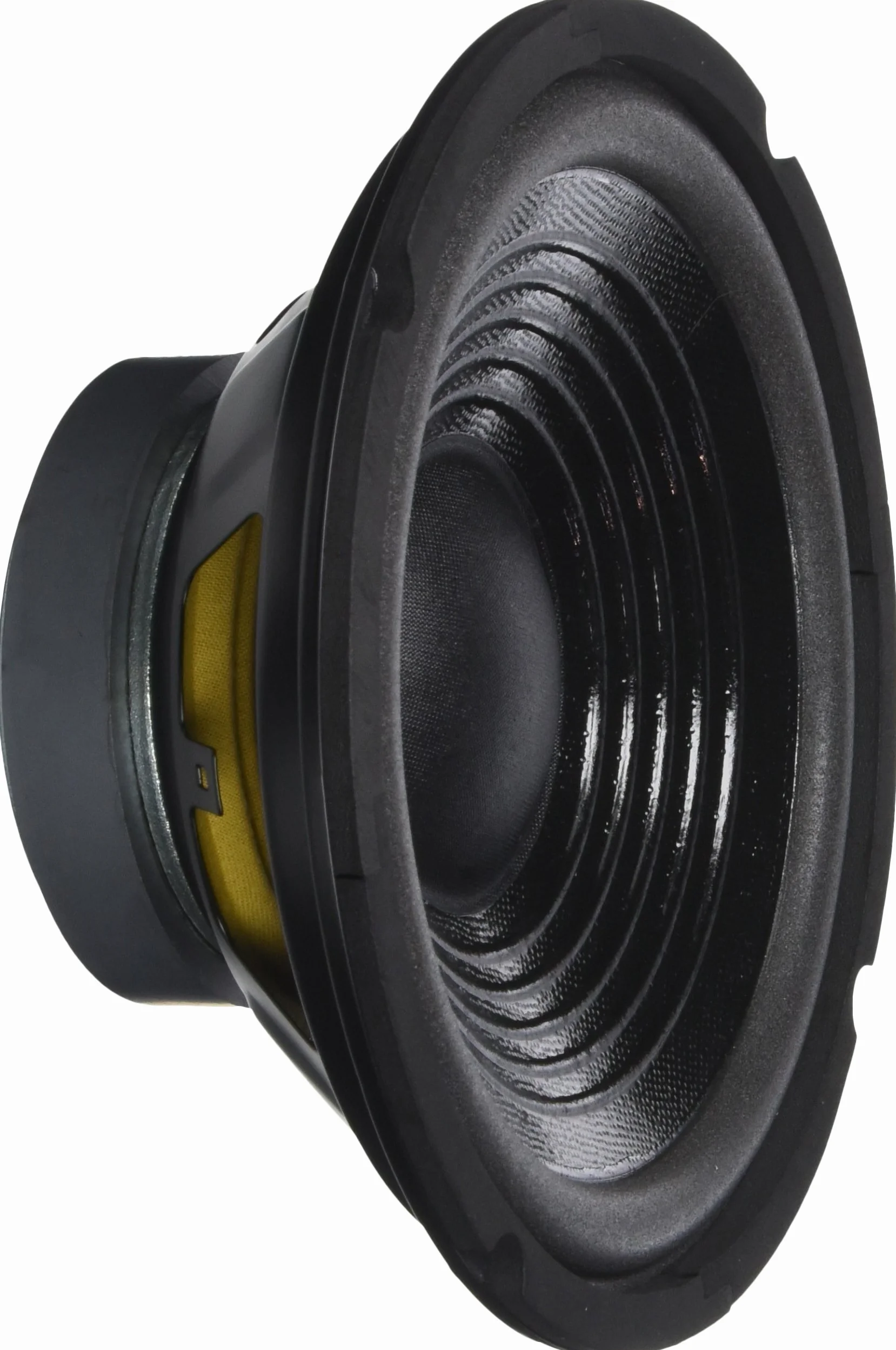 Głośnik basowy PA ''TT 205-H'', 200 mm, 100 W, 8 omów, 45-9000 Hz