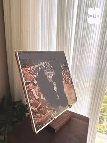 Elegancki stojak do przechowywania płyt winylowych stojak na płyty CD stojak retro mosiężny drewniany stojak do przechowywania CD uchwyt winylowy