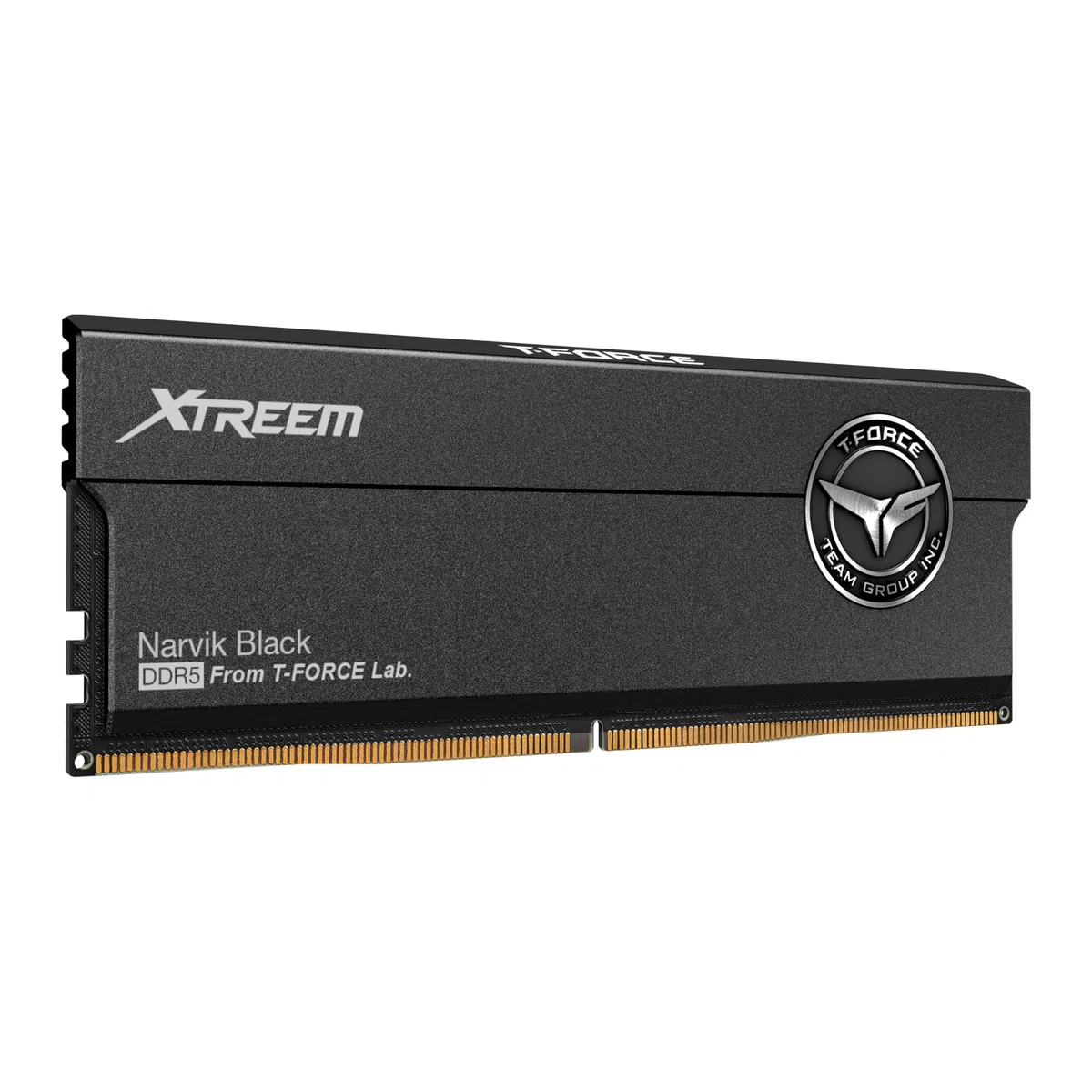 T-FORCE XTREEM - DDR5 - Kit - 48 GB: 2 x 24 GB - DIMM 288-PIN - 7600 MHz / PC5-60800 - registriert