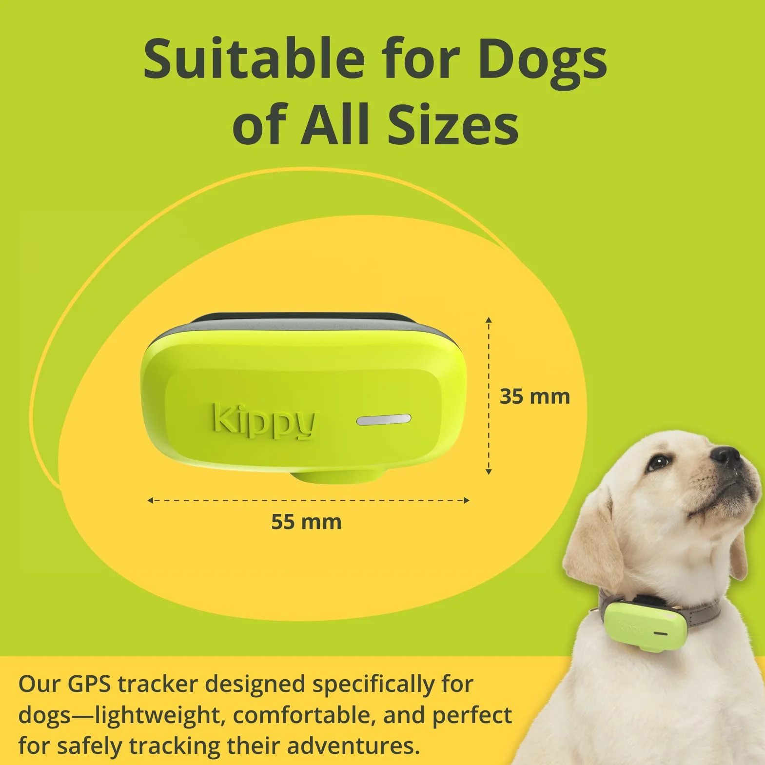 Kippy GPS per Cani Localizzatore Impermeabile con Recinto Virtuale e Notifiche Verde